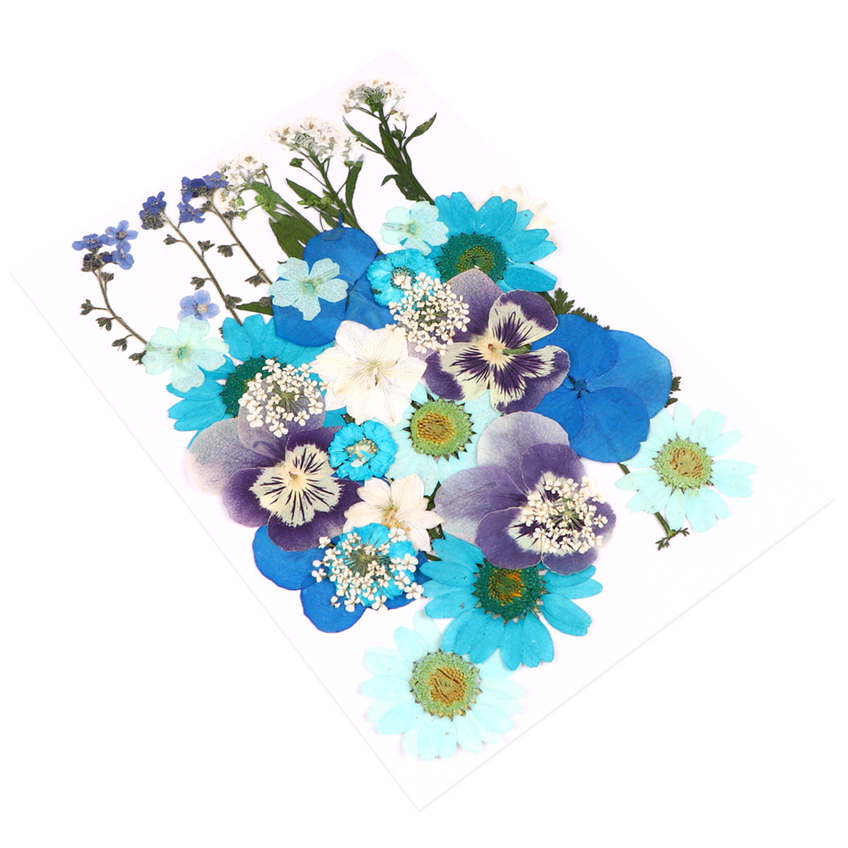 Kit de 40 Fleurs Pressées - Ma - Wedding Supply Kit avis et prix