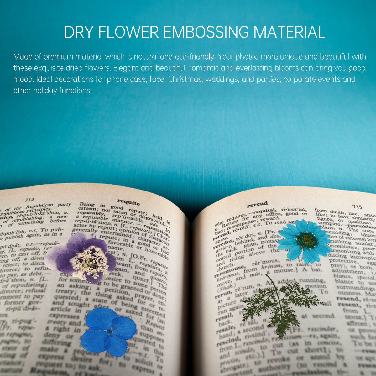 Kit de 40 Fleurs Pressées - Ma - Wedding Supply Kit avis et prix
